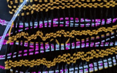 Autumn’s “Weaving with Light” piece from NEWS